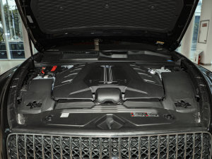 20234.0T V8 LS l(f)(dng)C(j)