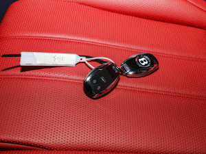 20234.0T V8 LS ܇耳