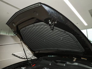 20234.0T V8 LS l(f)(dng)C(j)œ