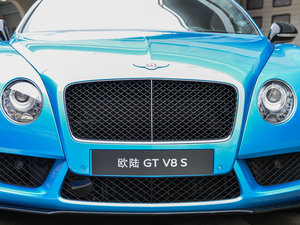 2014款4.0T GT V8 S 标准版 中网