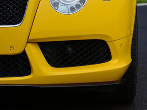 2014款4.0T GT V8 S 敞篷标准版 前雾灯
