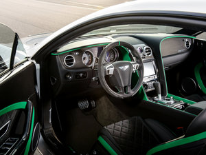 2015款4.0T GT3-R 细节外观