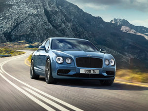 20166.0T W12 S (bio)(zhn) w^