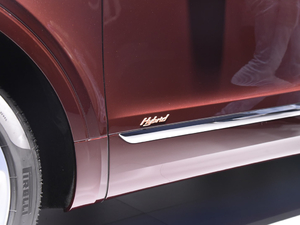 20193.0T PHEV (x)(ji)^