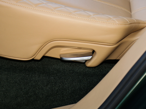 20176.0T W12 (bio)(zhn) g