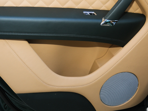 20176.0T W12 (bio)(zhn) g