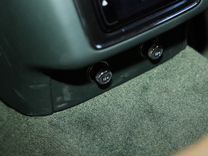 20176.0T W12 (bio)(zhn) g