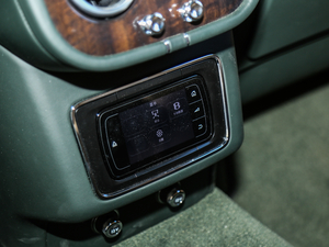 20176.0T W12 (bio)(zhn) g