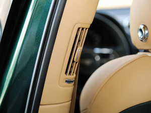 20176.0T W12 (bio)(zhn) g