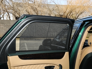 20176.0T W12 (bio)(zhn) g