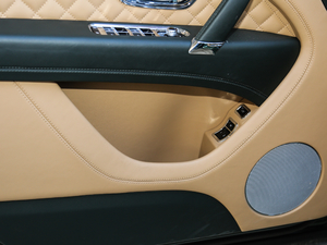 20176.0T W12 (bio)(zhn) ǰTg