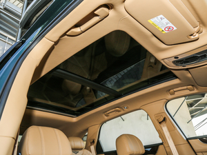 20176.0T W12 (bio)(zhn) g