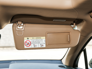 20176.0T W12 (bio)(zhn) g