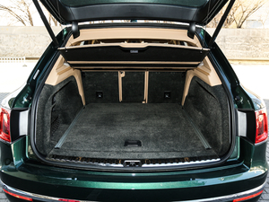 20176.0T W12 (bio)(zhn) g