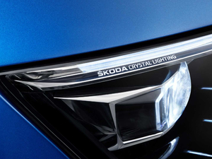 2019������� �������^