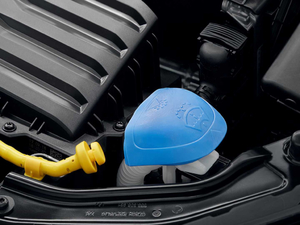 2019������� ����