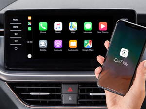 2019������� �п؅^(q��)