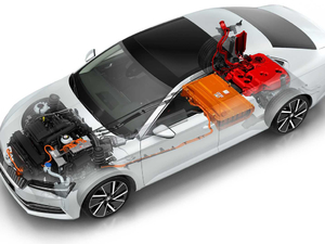 2019��iV ����