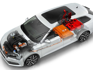 2019��iV ����