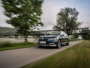 2019��Scout ���w���^