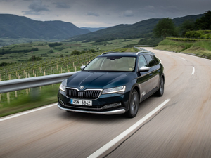 2019��Scout ���w���^