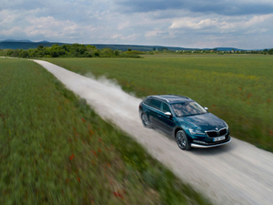 2019��Scout ���w���^