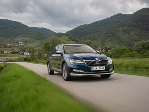 2019��Scout ���w���^