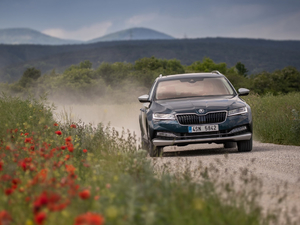 2019��Scout ���w���^