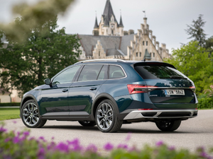 2019��Scout ���w���^