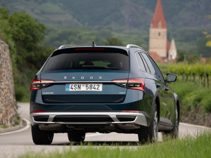 2019��Scout ���w���^