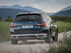 2019��Scout ���w���^