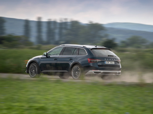 2019��Scout ���w���^