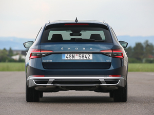 2019��Scout ���w���^