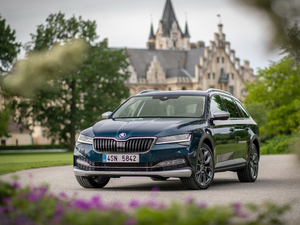 2019��Scout ���w���^