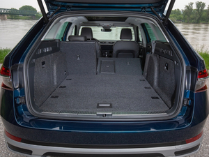 2019��Scout ���g����