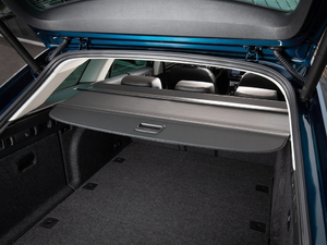 2019��Scout ���g����