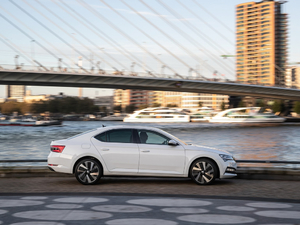 2019��iV ���w���^