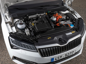 2019��iV ����