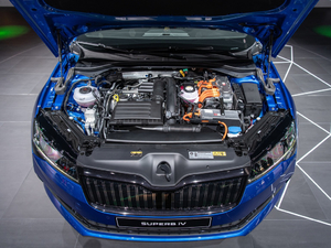 2019��iV ����