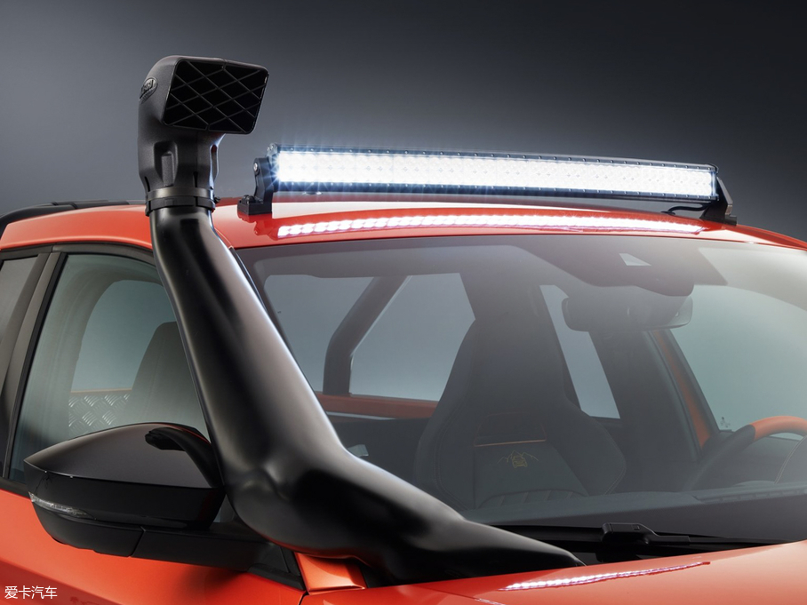 2019��Mountiaq ������