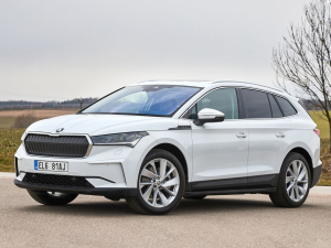 2021������� ���w���^