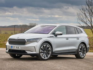 2021������� ���w���^