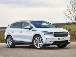 2021������� ���w���^