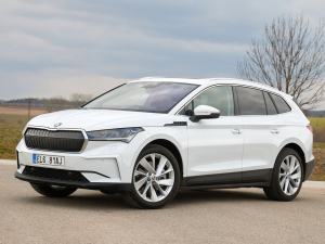 2021������� ���w���^