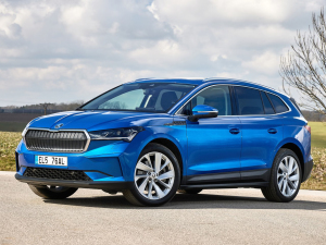 2021������� ���w���^