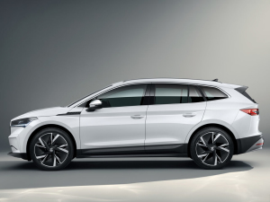 2021������� ���w���^