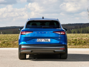 2021������� ���w���^