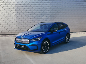 2021��Sportline ���w���^
