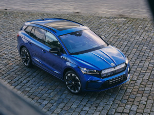 2021��Sportline ���w���^