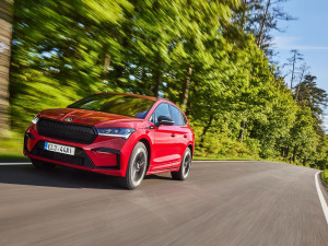 2021��Sportline ���w���^